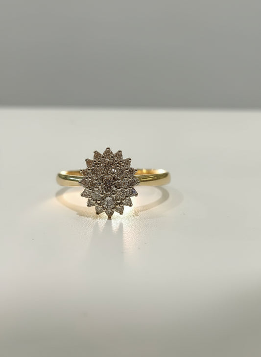 9ct Yellow Gold Oval Diamond Cluster Ring